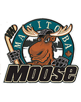 Manitoba Moose