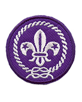 Fleur De Lis